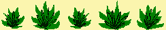 Gras