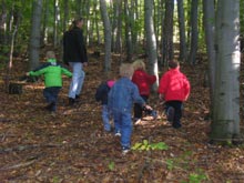 Waldspaziergang